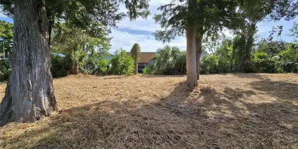 Image 4 Image 4