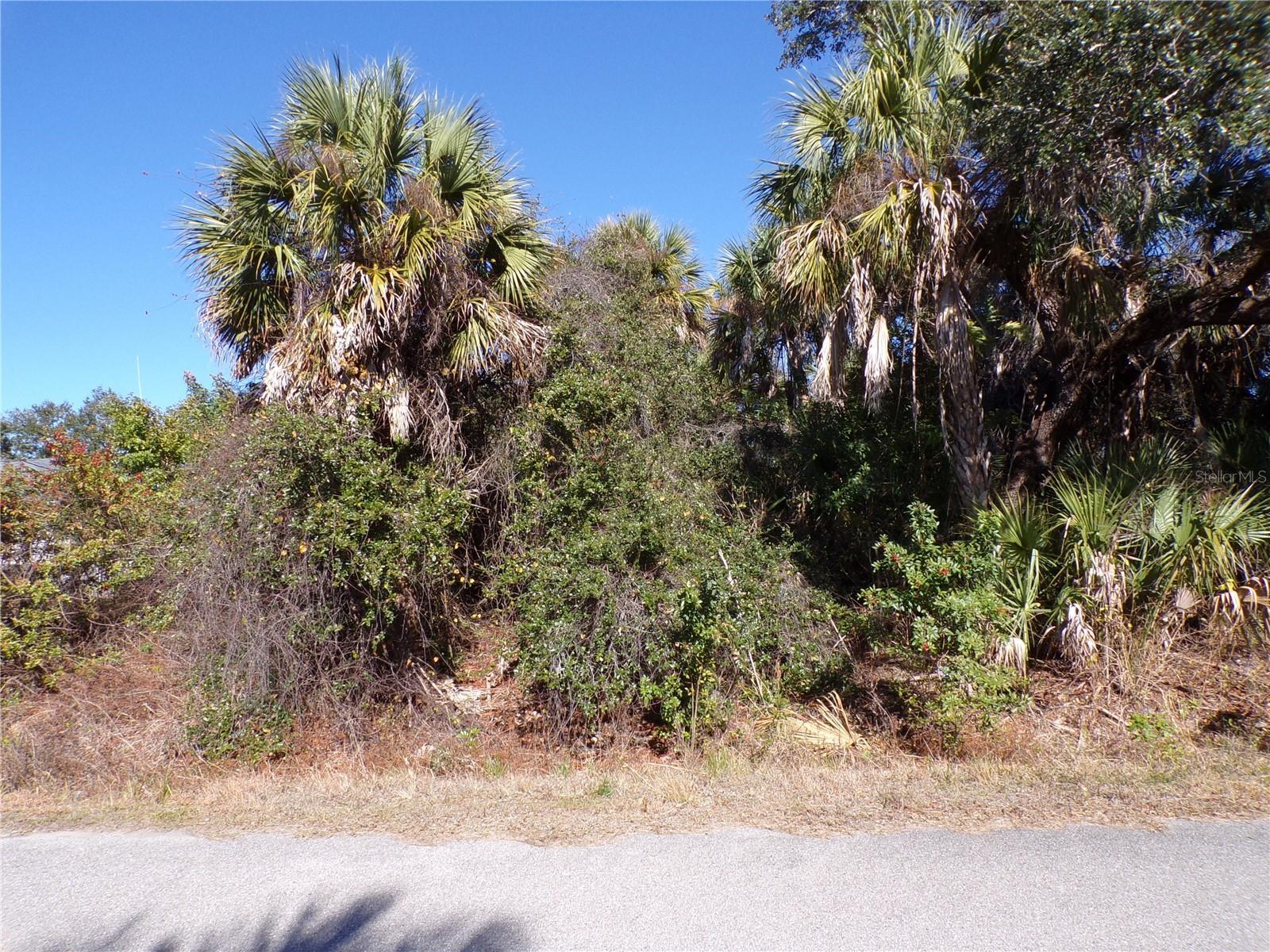 Image 1 Image 1