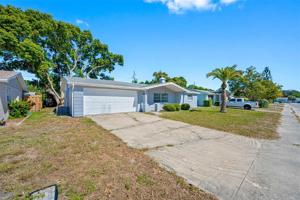 3635 ROSEWATER