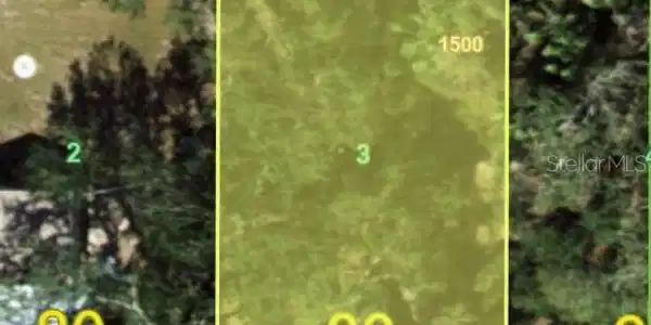 Image 2 Image 2