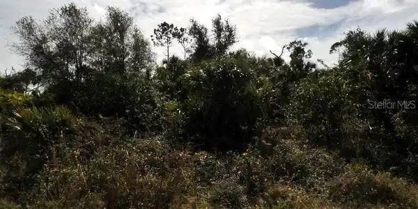Image 2 Image 2