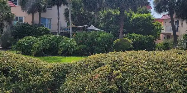 1510 OCEAN SHORE