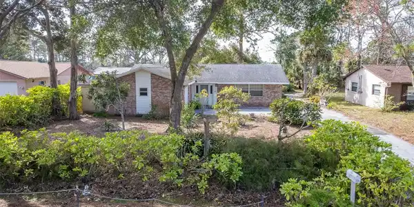 3120 PINE TREE DRIVE