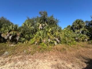 LOT 4 MATTOX CIRCLE