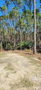 LOT 8 SW 104 STREET