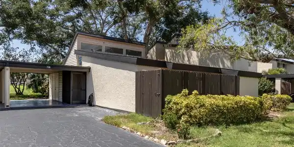 718 WHITE PINE TREE