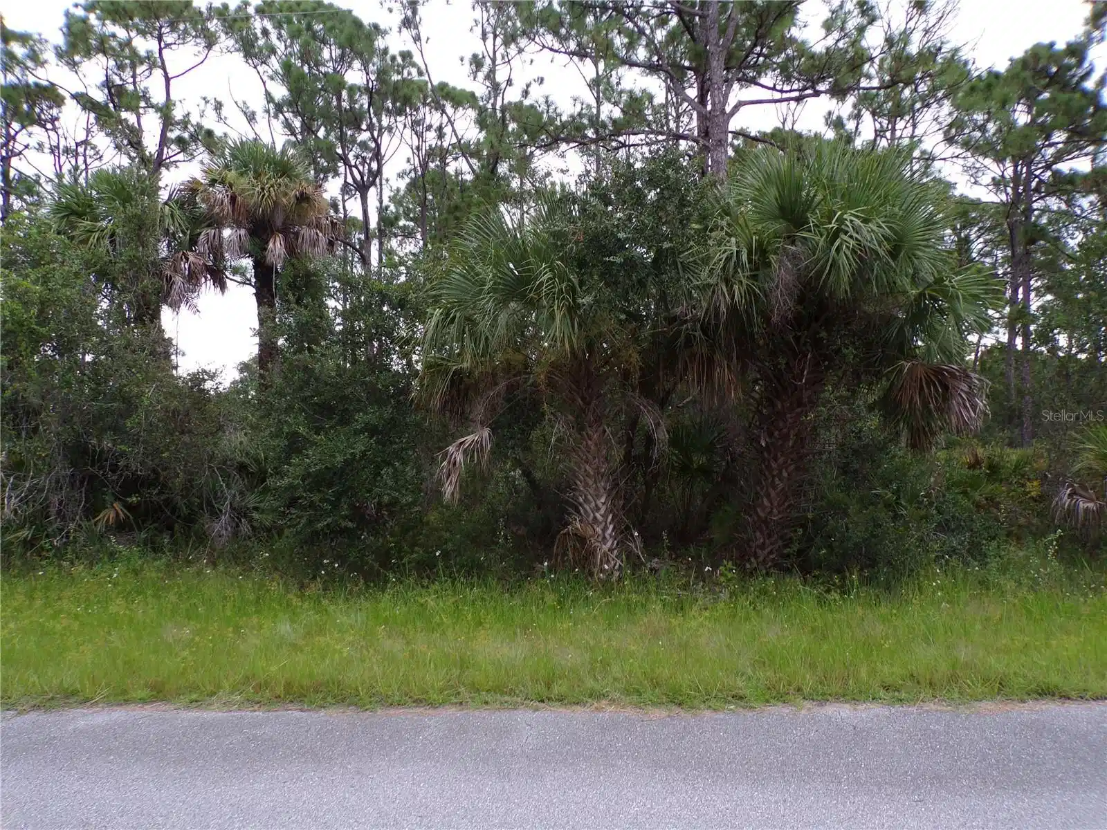 Image 1 Image 1