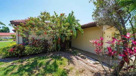 3783 SPANISH PINE
