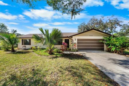 3112 NEEDLE PALM DRIVE