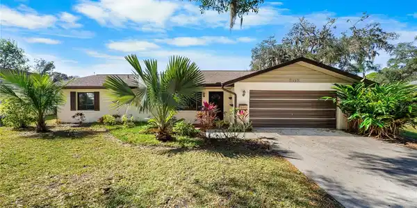 3112 NEEDLE PALM DRIVE