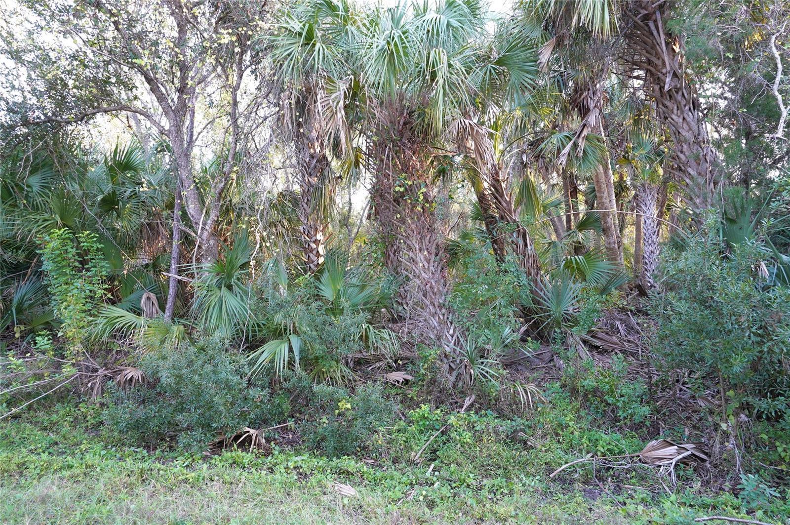 Image 1 Image 1