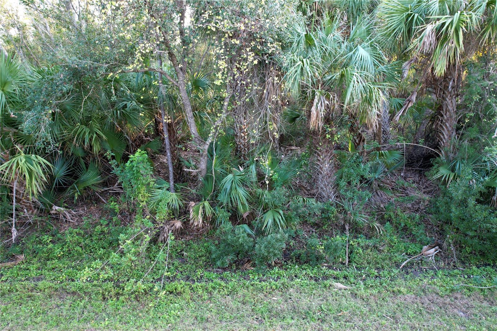 Image 4 Image 4