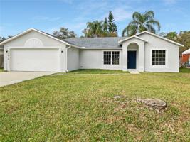 3416 LIME TREE