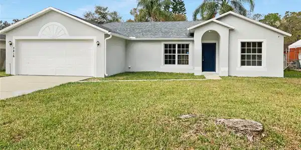 3416 LIME TREE