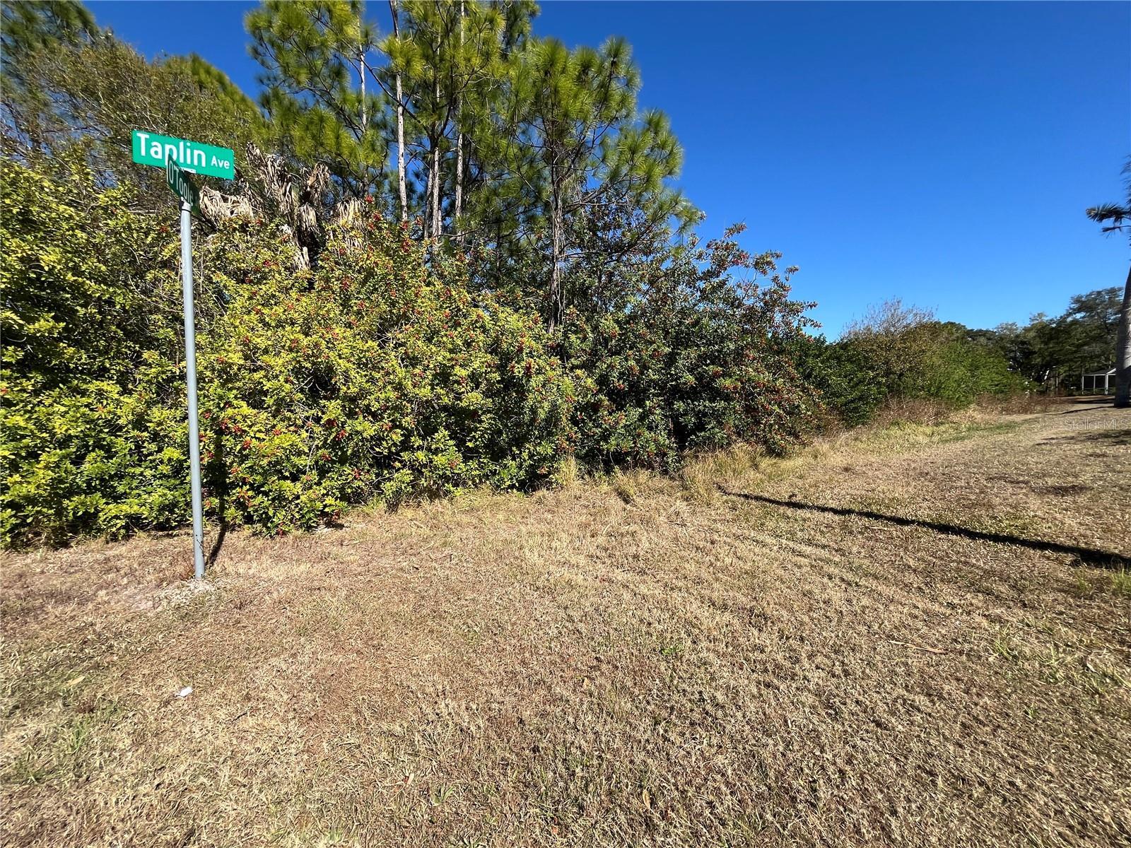 Image 4 Image 4