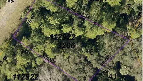 Image 4 Image 4