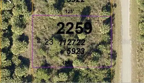 Image 4 Image 4