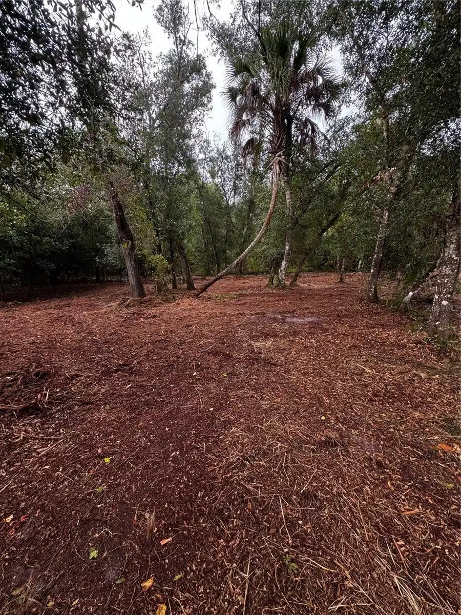 Image 1 Image 1