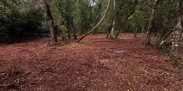 Image 4 Image 4