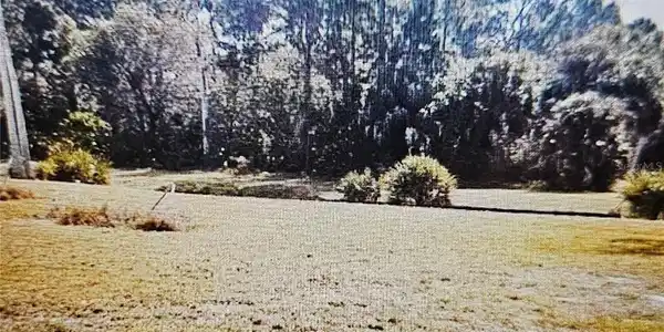 Image 3 Image 3