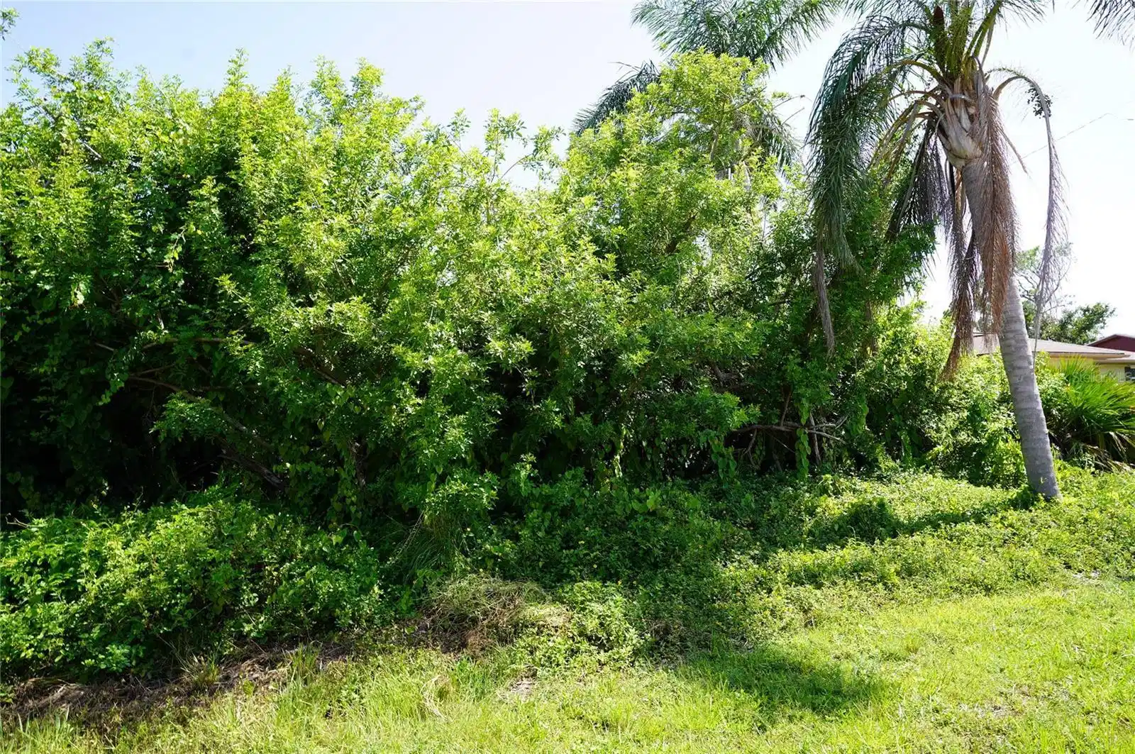 Image 1 Image 1