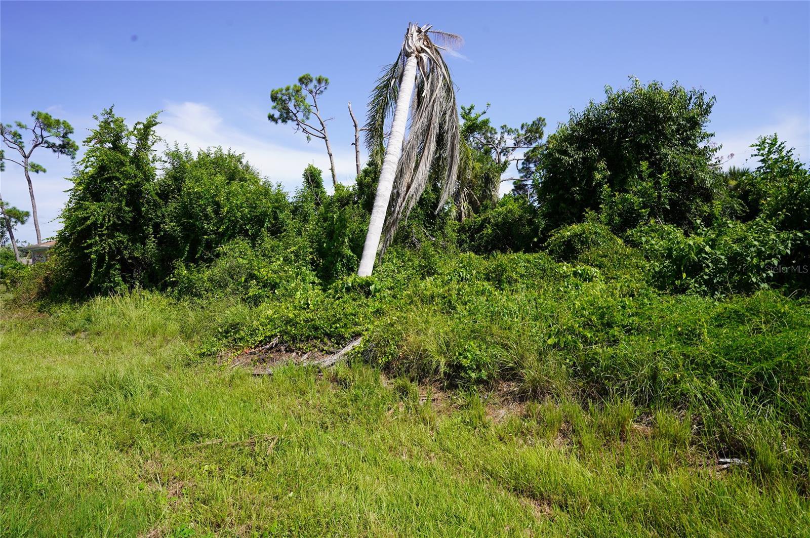 Image 3 Image 3