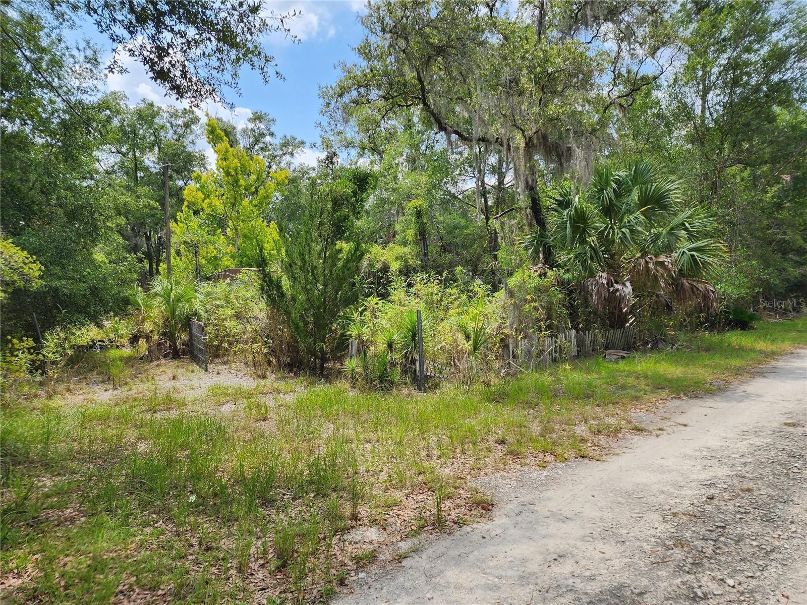 Image 1 Image 1