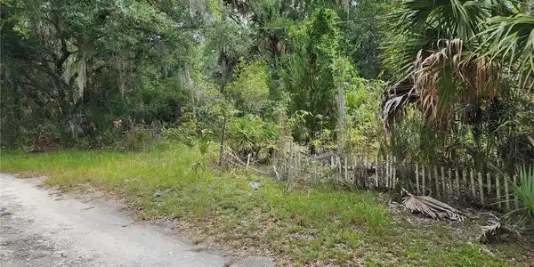 Image 4 Image 4