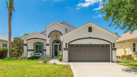 11116 SANCTUARY DRIVE