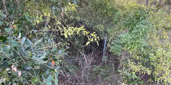Image 4 Image 4