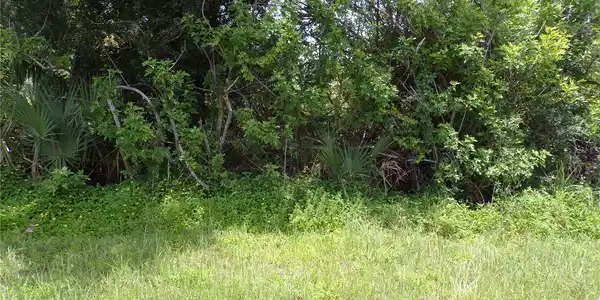 Image 4 Image 4