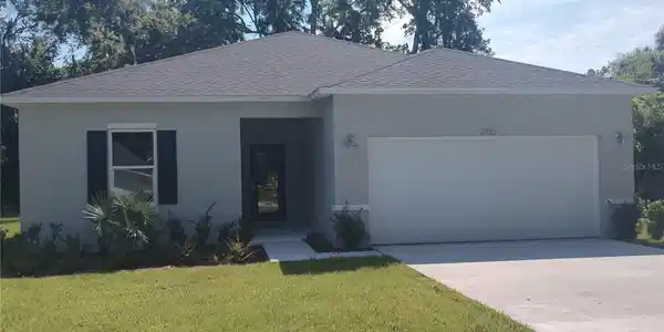 2815 NEEDLE PALM