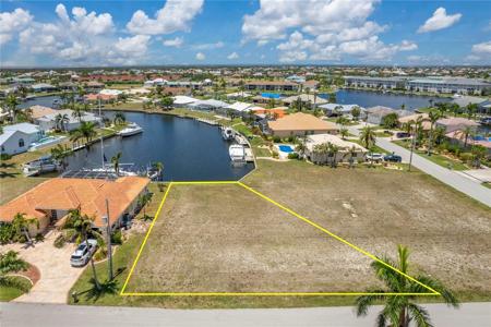 3507 BLUE JAY