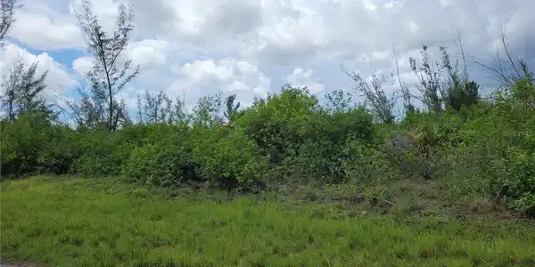 Image 3 Image 3