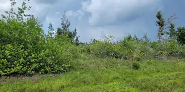 Image 4 Image 4