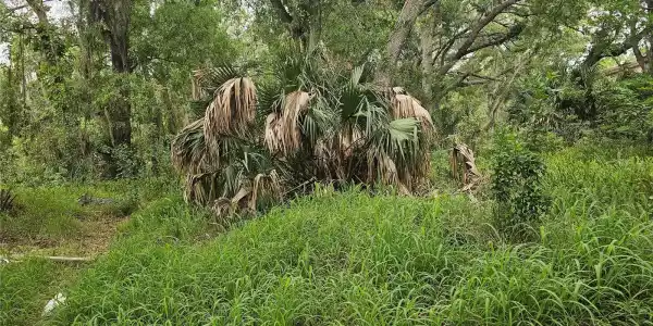 2ND