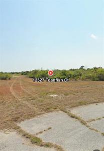 12527 TOADFISH COURT