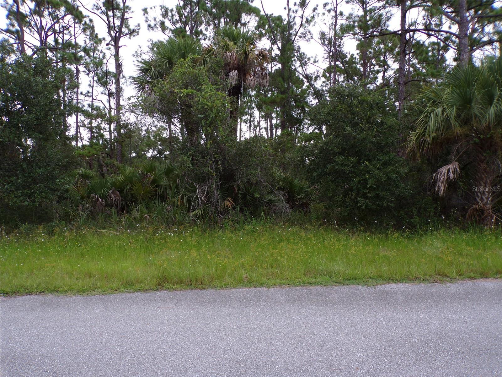 Image 2 Image 2