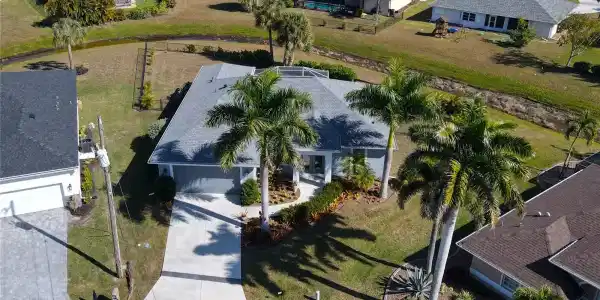 7342 N FICUS TREE