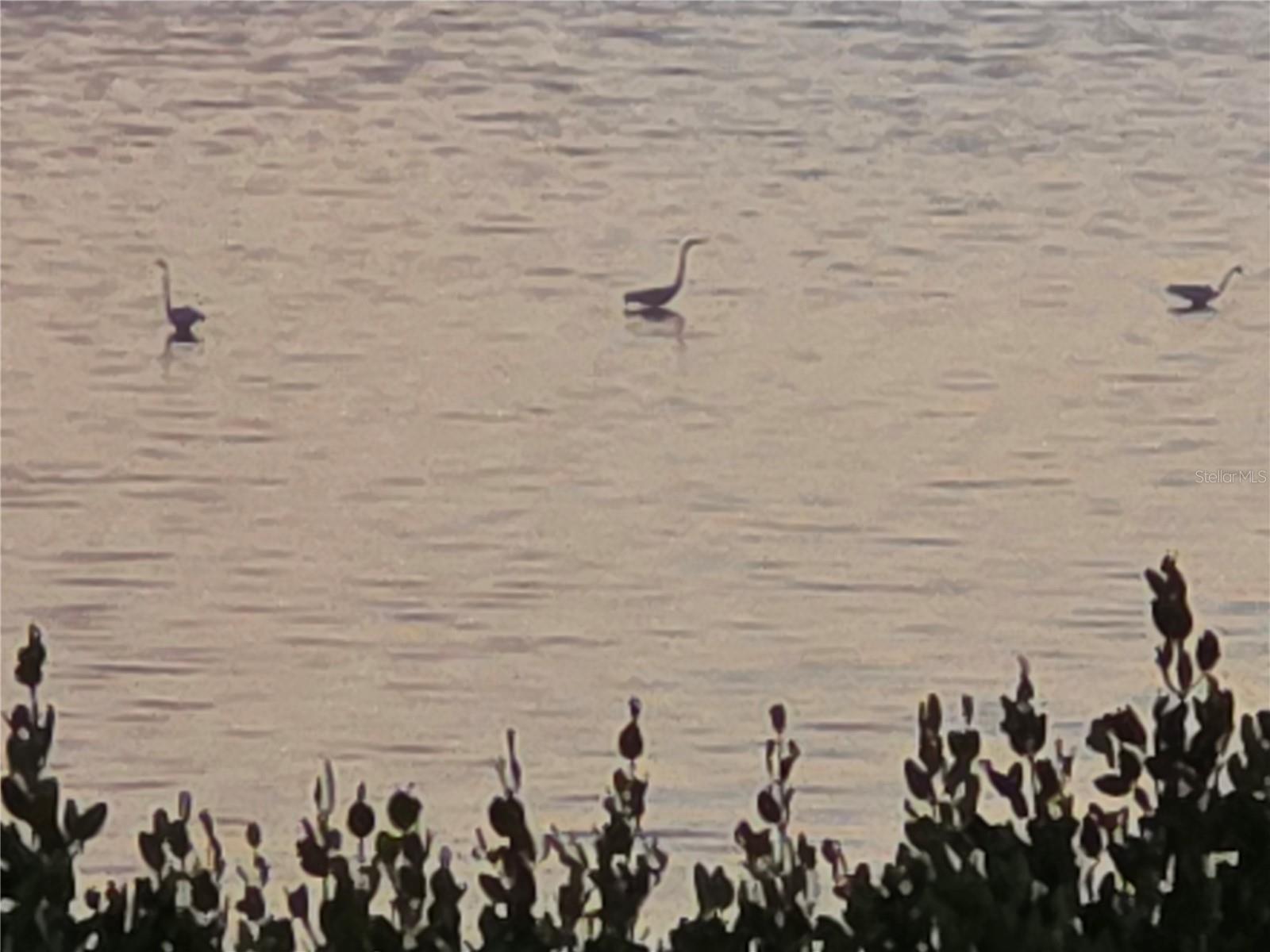 Image 4 Image 4