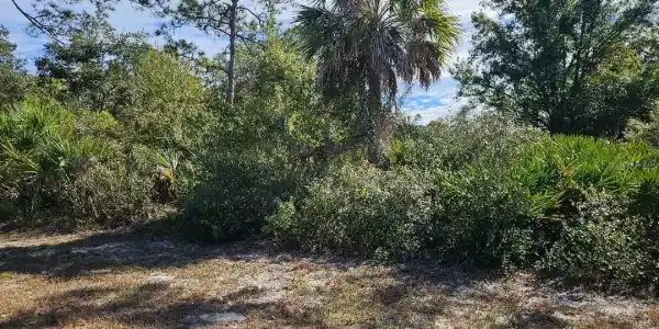 211 BALDUR DRIVE