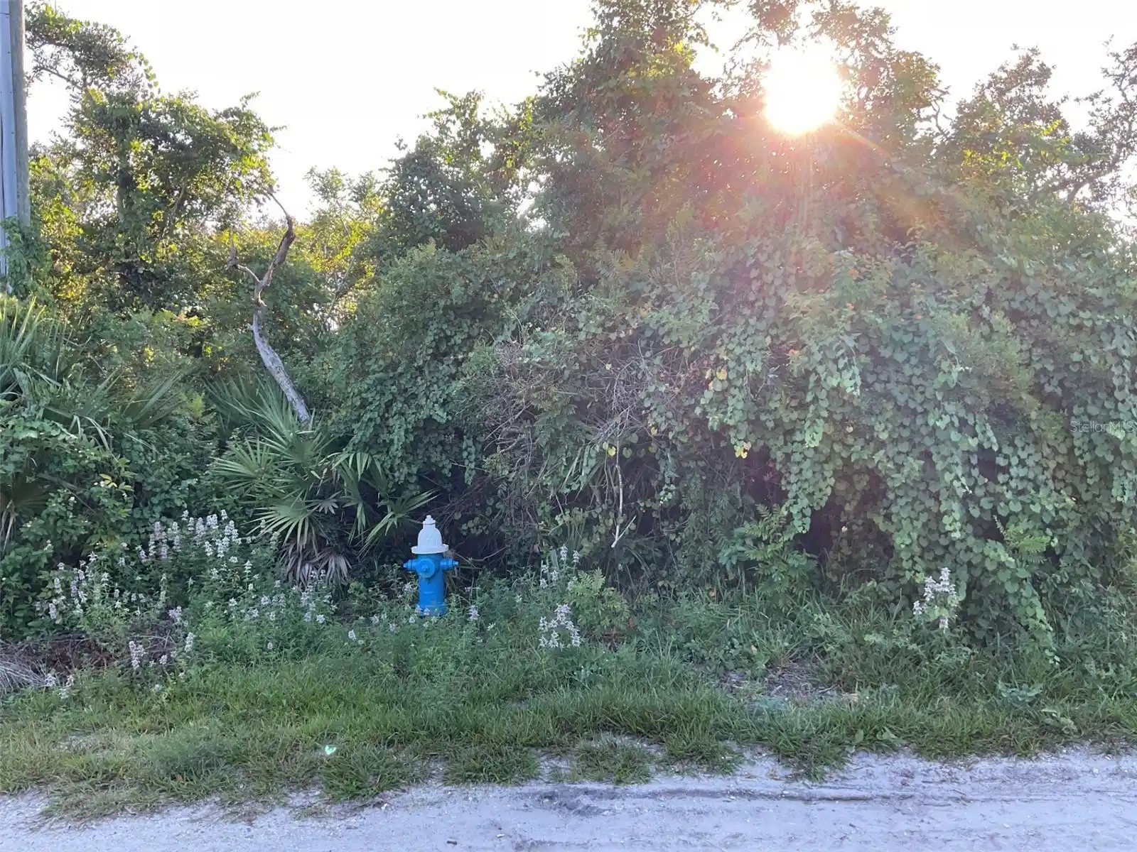 Image 1 Image 1
