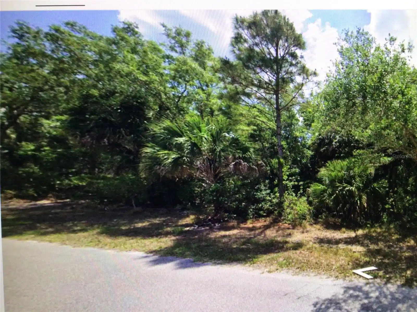 Image 1 Image 1