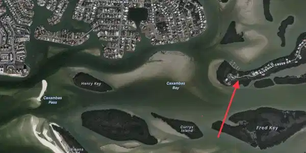 Image 4 Image 4