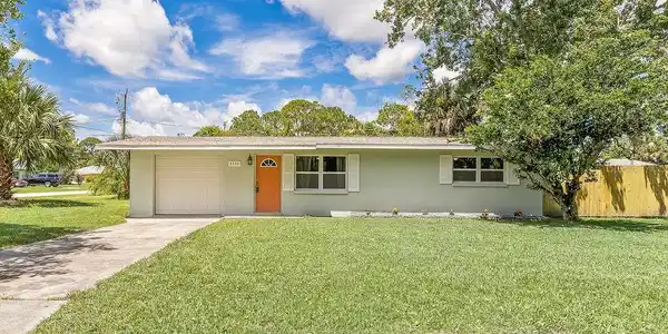 3330 UMBRELLA TREE