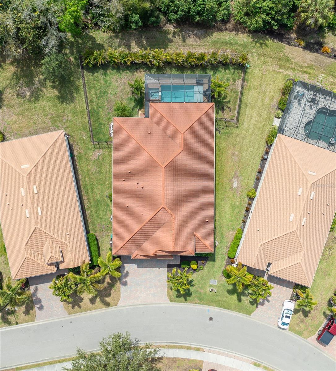 Image 4 Image 4