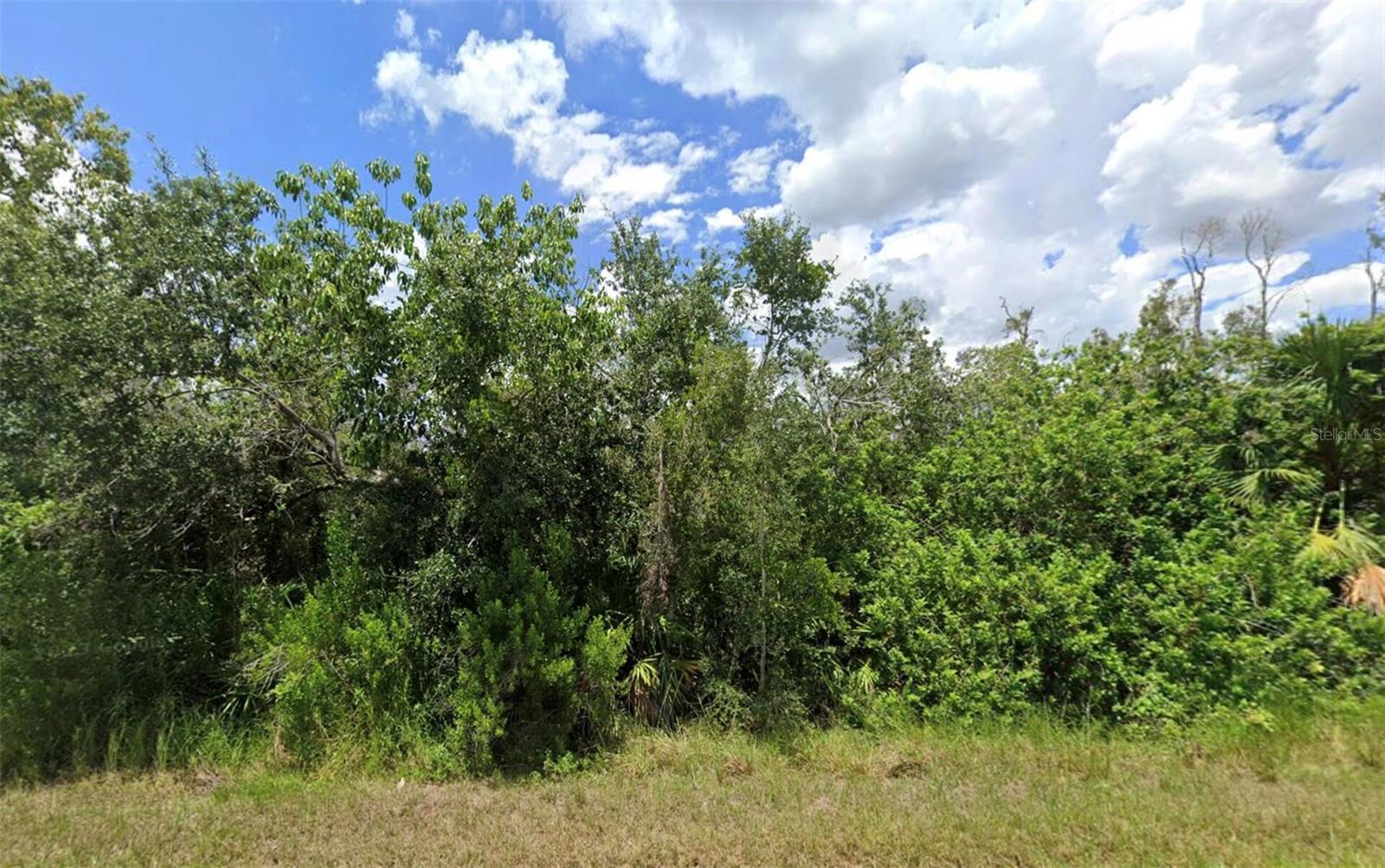 Image 3 Image 3