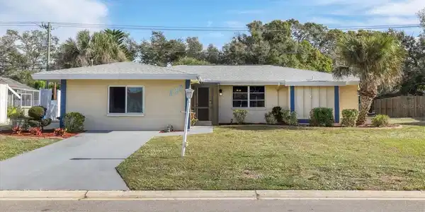 294 MOUNT VERNON DRIVE