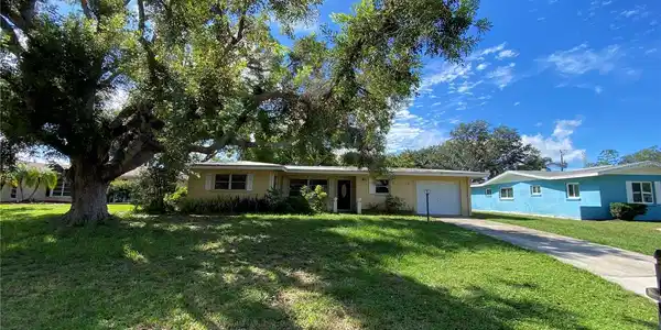 446 REDWOOD