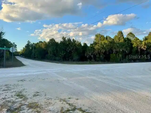 Image 1 Image 1